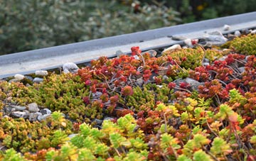 the cost of Dingwall green roof installation