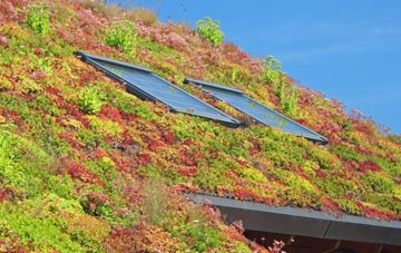 Dingwall living roof systems