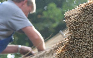 professional Dingwall thatchers